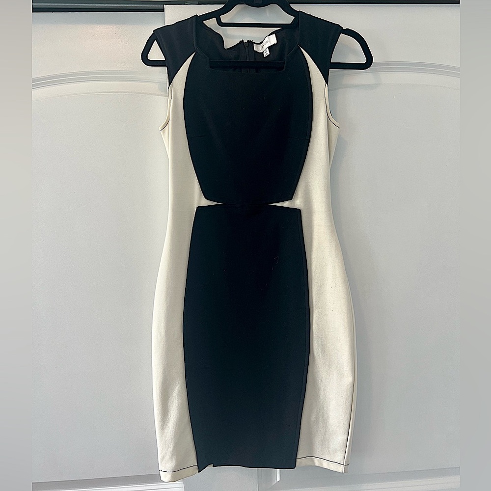 Jaye.e. Black And White Dress